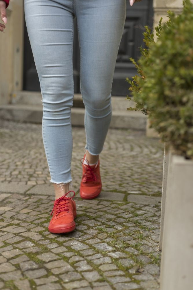 Iviq Red