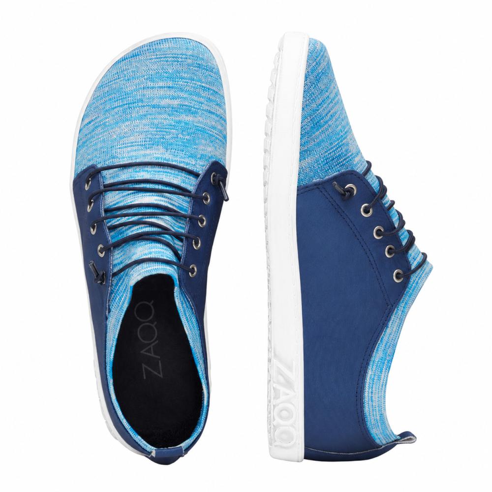 Qris blauw